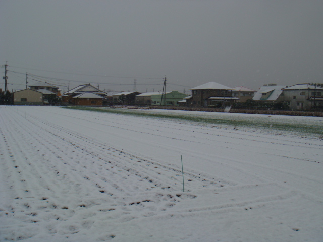 DSC02384.JPG