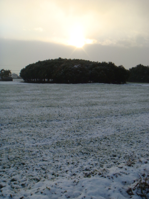 DSC02392.JPG