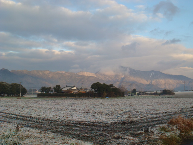 DSC02399.JPG