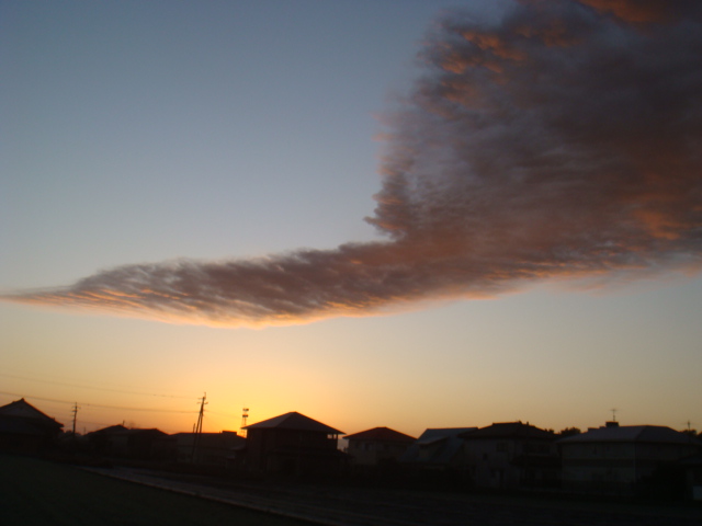 DSC02460.JPG