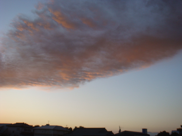 DSC02461.JPG