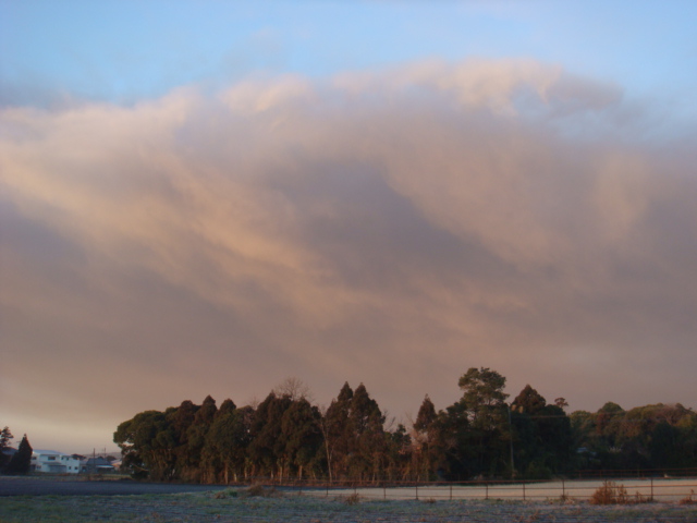 DSC02469.JPG