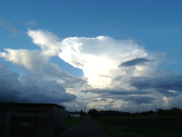 DSC03932.JPG