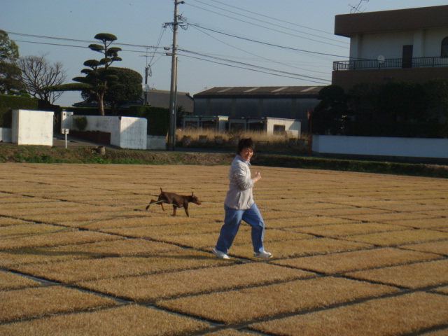 DSC05282.JPG