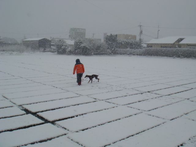 DSC05365.JPG